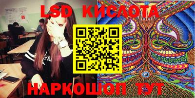 крисы Бийск