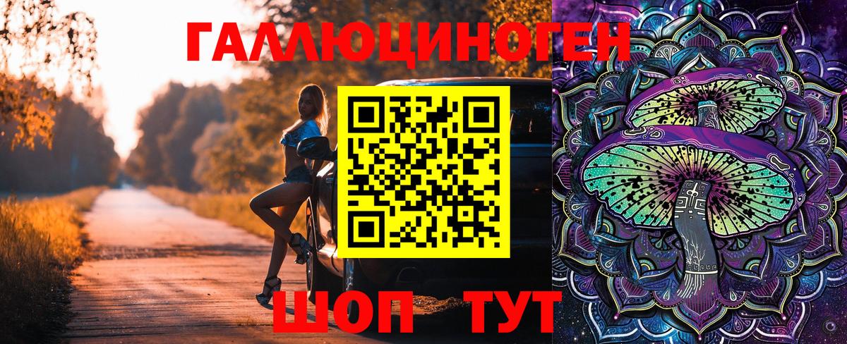 Галлюциногенные грибы Psilocybine cubensis Избербаш